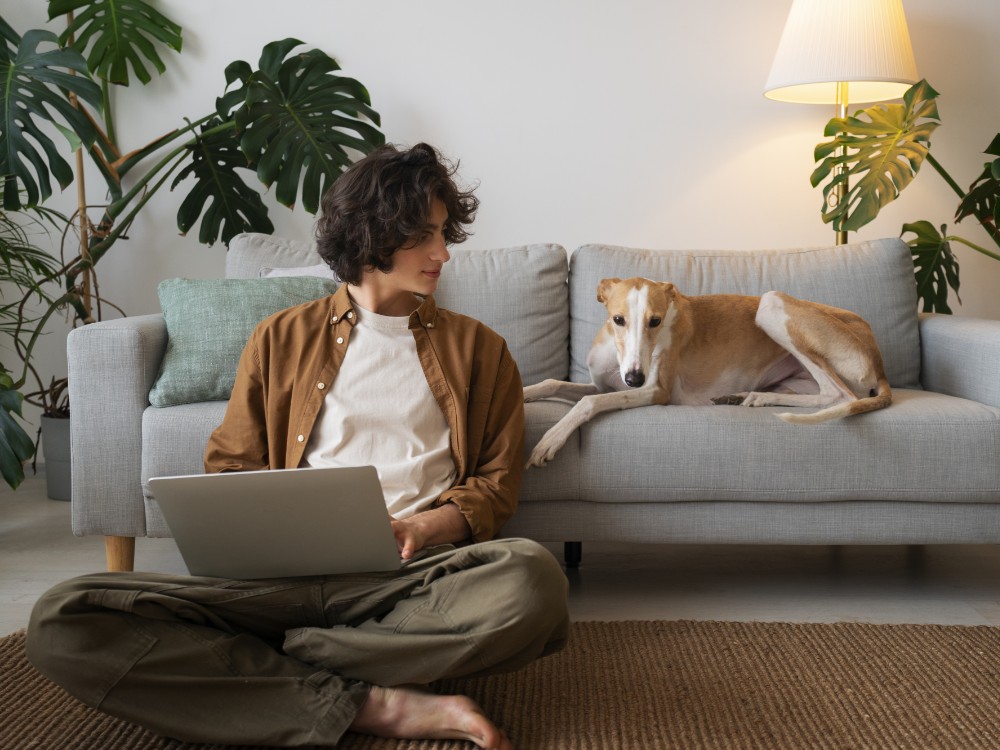 man working home from laptop with greyhound dog couch