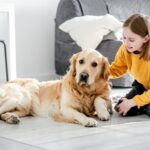preteen girl with golden retriever dog
